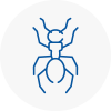Ant Removals In Portishead