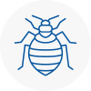 Bed Bug Extermination In Portishead