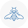 Bee Nest Removal Portishead