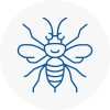 Portishead Hornet Nest Removals