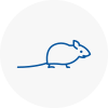 Mice Exterminators In Portishead