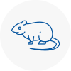 Rat Control Portishead