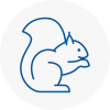 Portishead Rodent Removals