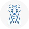 Portishead Wasp Nest Removal